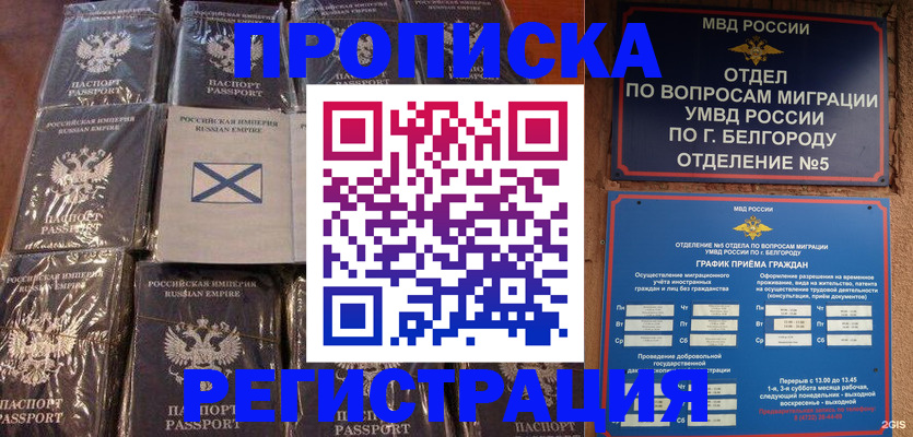 прописка гарантия в Чите